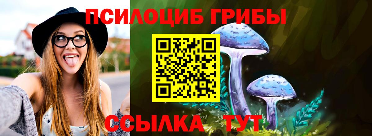 Галлюциногенные грибы прущие грибы  Галлюциногенные грибы мухоморы  наркошоп  Видное  Вход с VPN 
